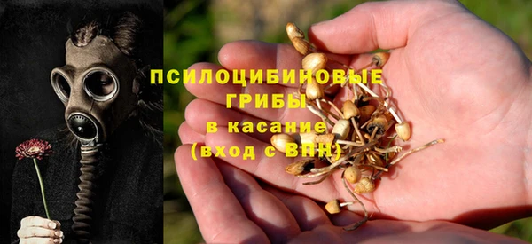 марки nbome Алзамай