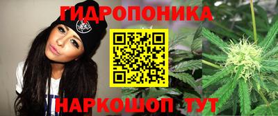 a pvp Волжский