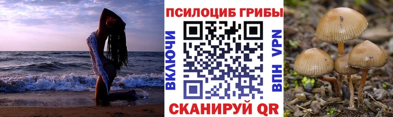Псилоцибиновые грибы ЛСД  Нефтекамск 