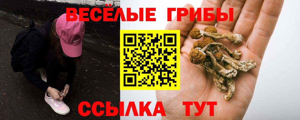 Нефтекамск  Псилоцибиновые грибы Cubensis  закладка  Вход с VPN 