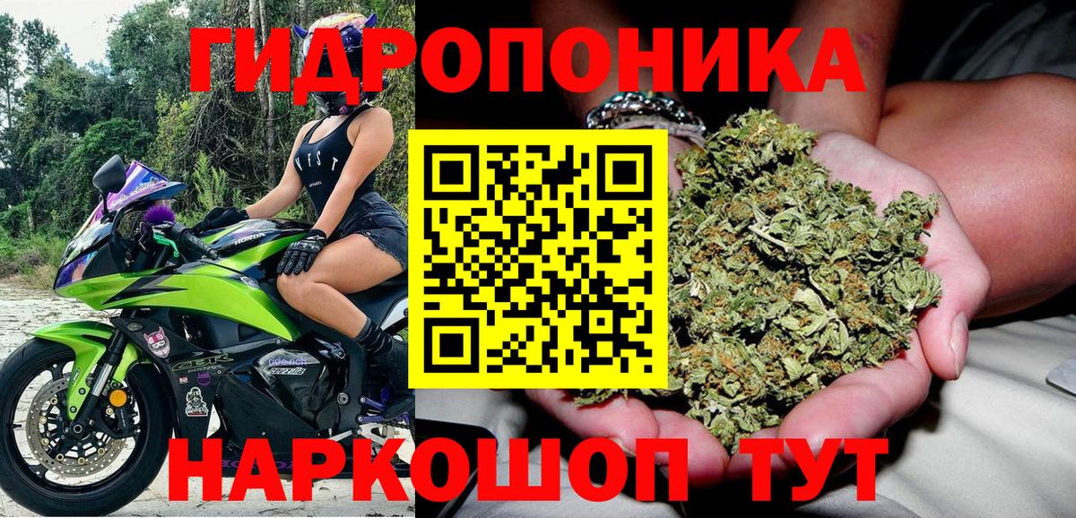 Бошки Шишки AK-47  Шишки марихуана план  Вход с VPN  Нефтекамск  Марихуана SATIVA & INDICA 